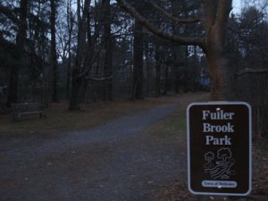 Wellesley's Fuller Brook Park
