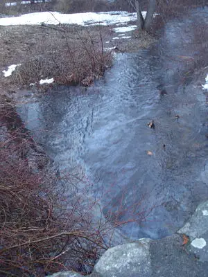 Fuller Brook leak Wellesley MA
