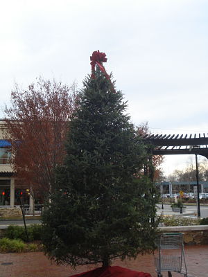 Linden Square Christmas tree with cart