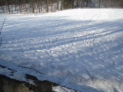 2010 rte 16 sledding hill in Wellesley