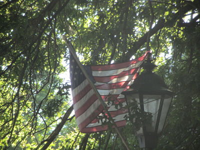 Wellesley July flag